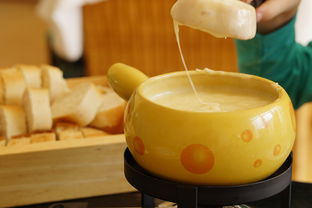 孕妇能吃奶酪和芝士吗必须巴氏杀菌吗 孕妇能吃奶酪和芝士吗必须巴氏杀菌吗